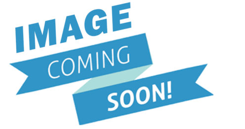 Image-coming-soon